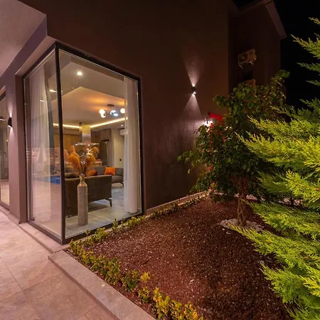 Simurg فيلة كاس