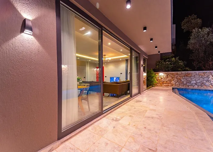 فيلة Simurg كاس