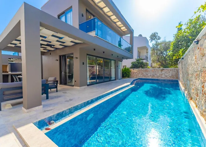 فيلة Simurg كاس