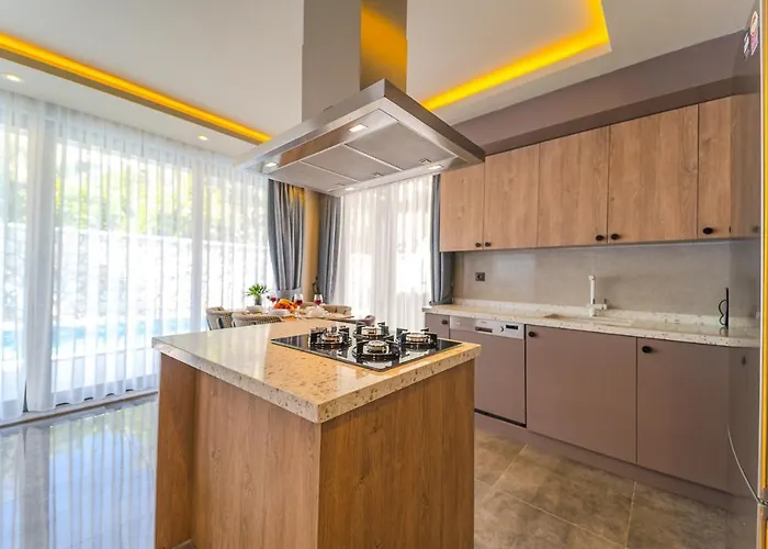 Simurg فيلة كاس