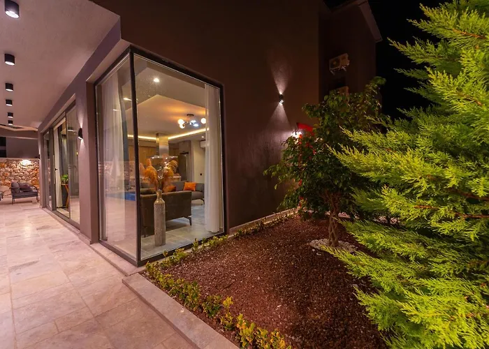 Simurg فيلة كاس